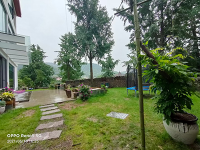 门前绿化